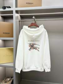 Picture of Burberry Hoodies _SKUBurberryS-2XLaztxB2261860